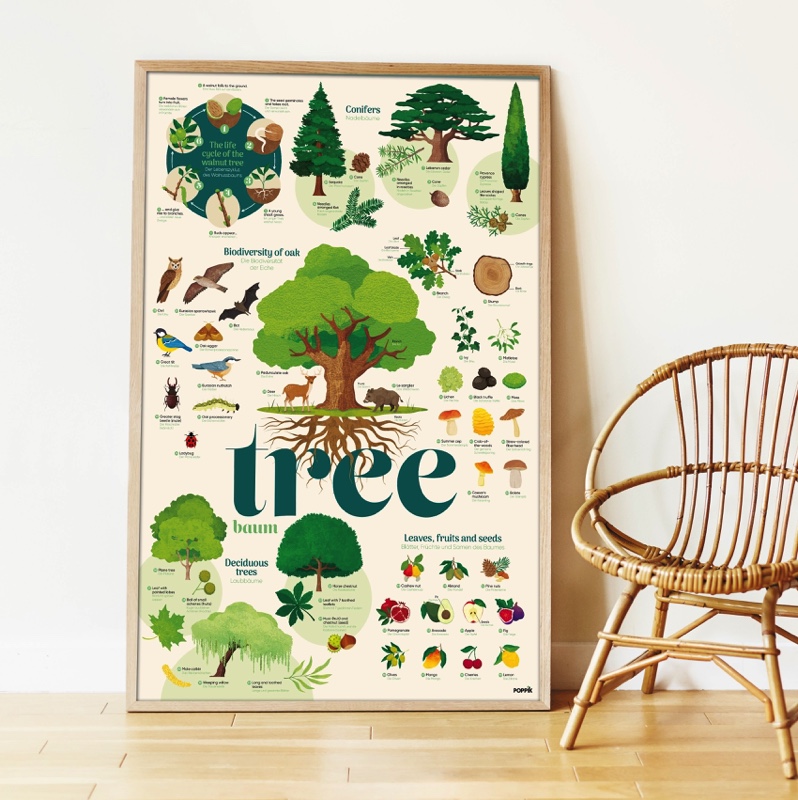 Discovery Sticker «L'arbre»