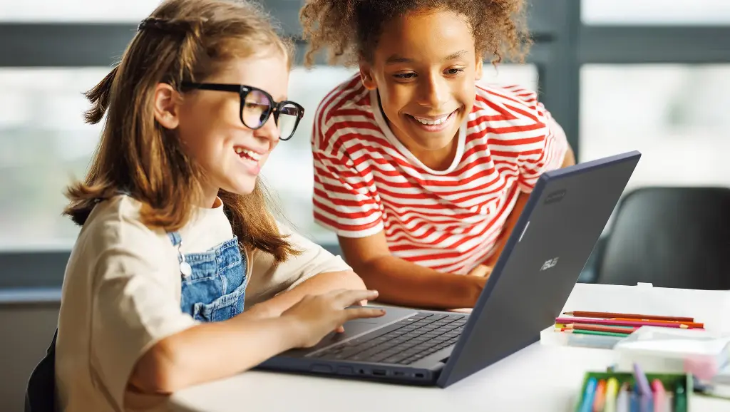 Notebook ASUS BR1204 (Windows)