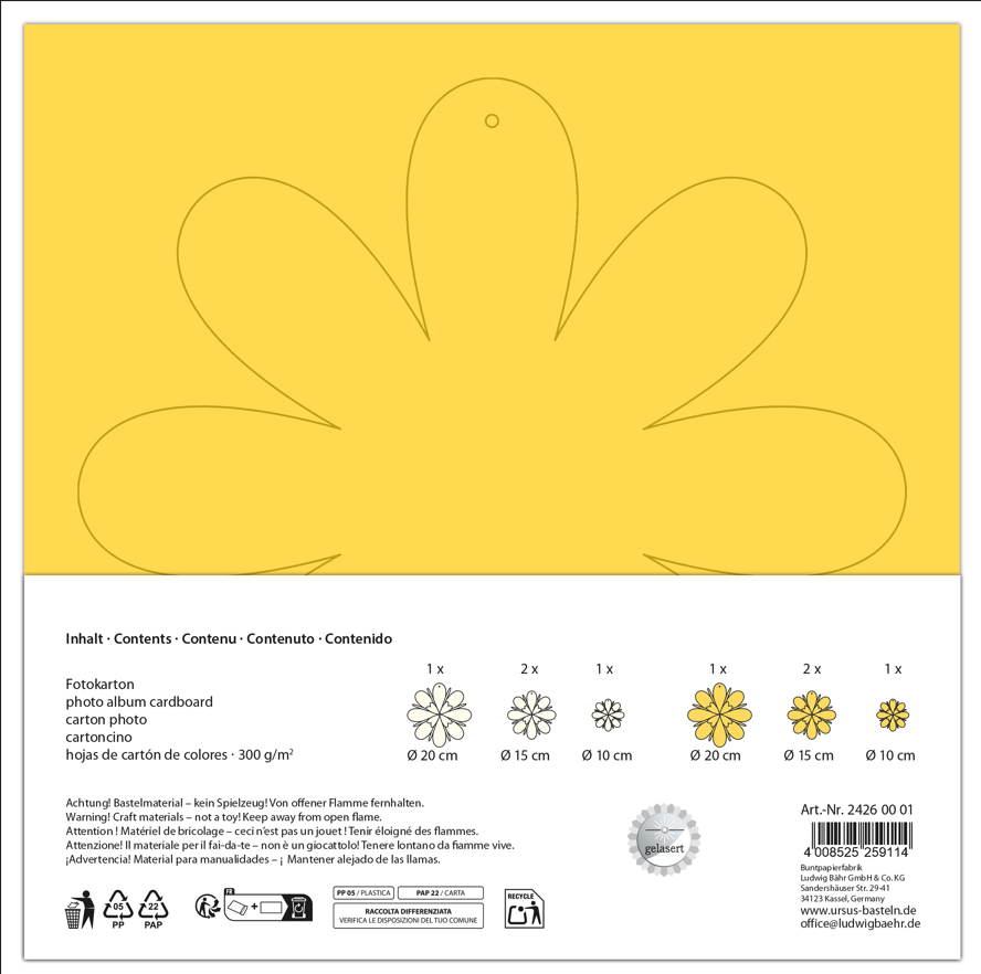 Fleurs en papier en carton photo 300g/m2 - 8 pièces de 10-15-20cm