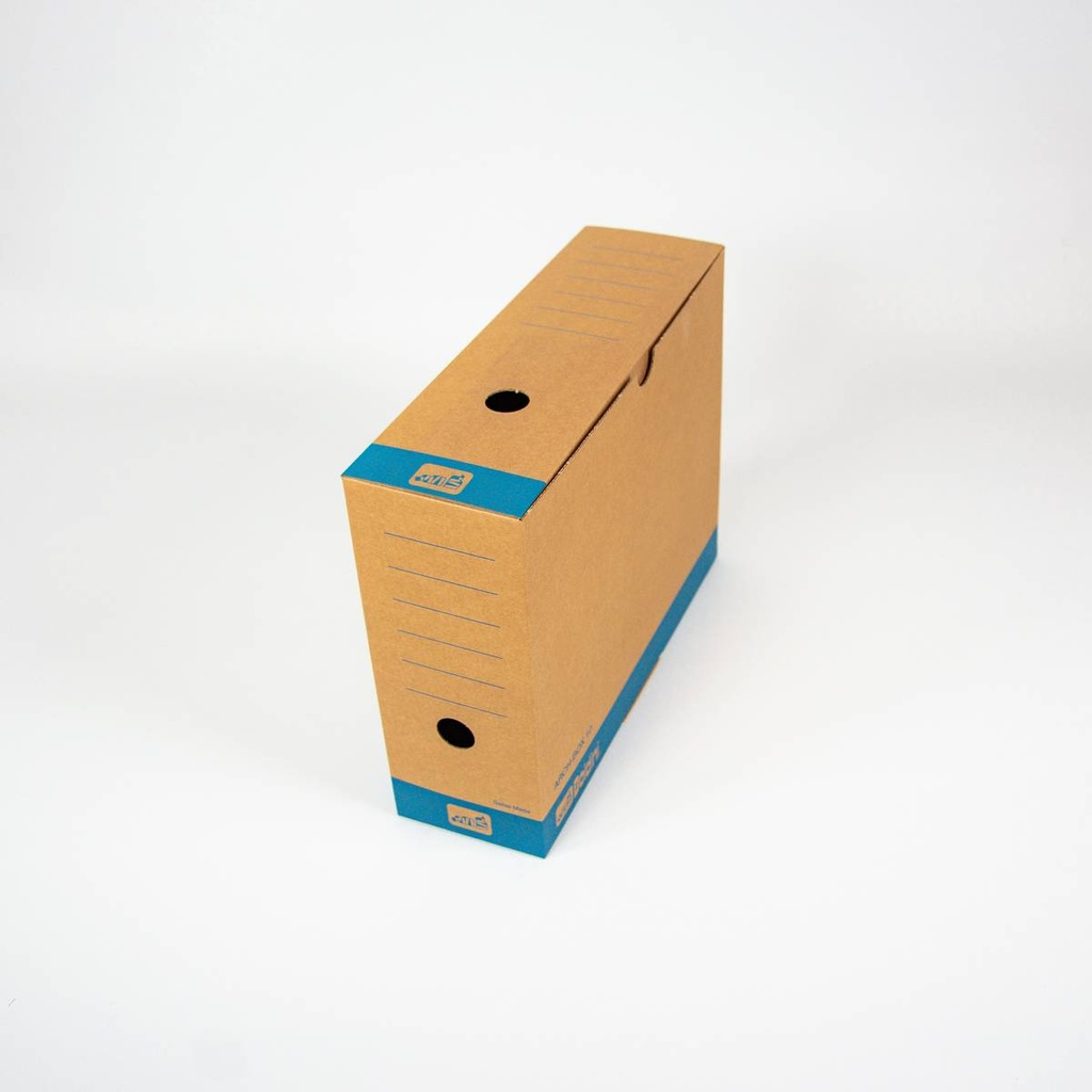 Archivschachtel A4 Arch Box