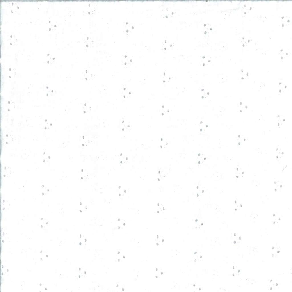 Baumwolle Gaze geprägt  gestickt  Breite 120cm