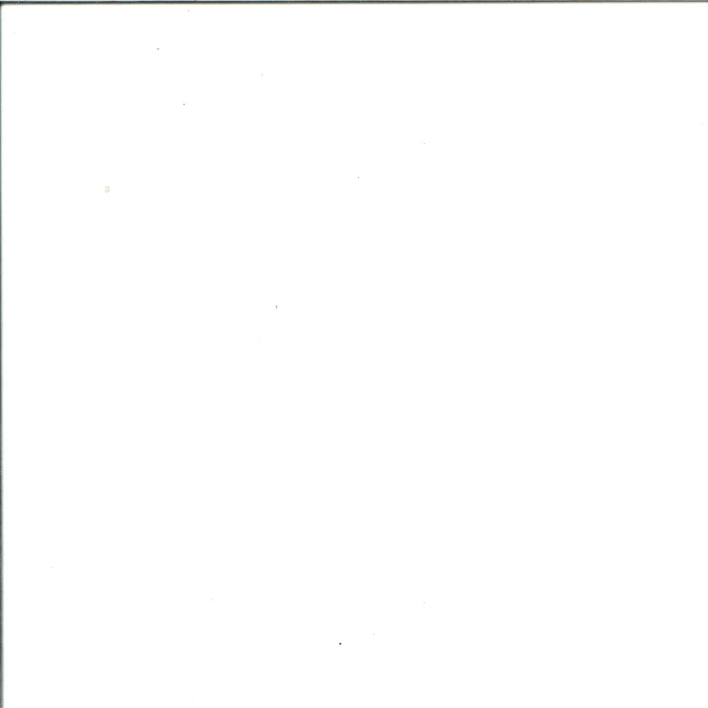 Organza largeur 150 cm