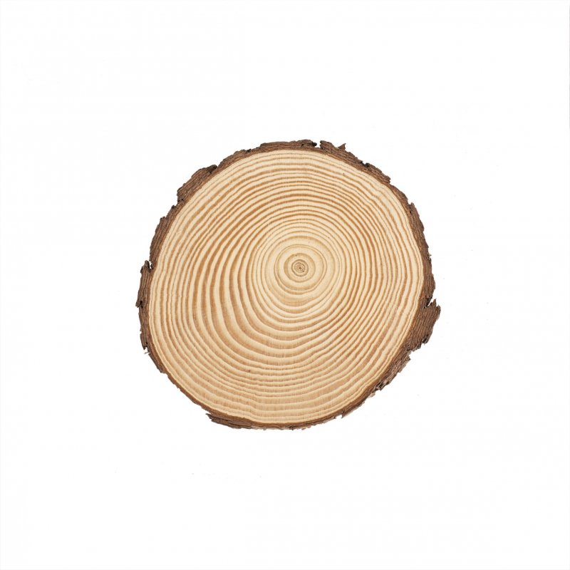 Rondelle en bois 15 cm x 1.50 cm en pin
