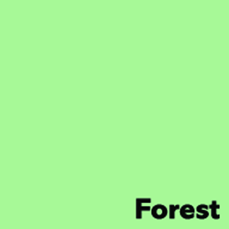 Kopierpapier A4 Image Coloraction Forest/grün 160 g/m2, 250 Blatt