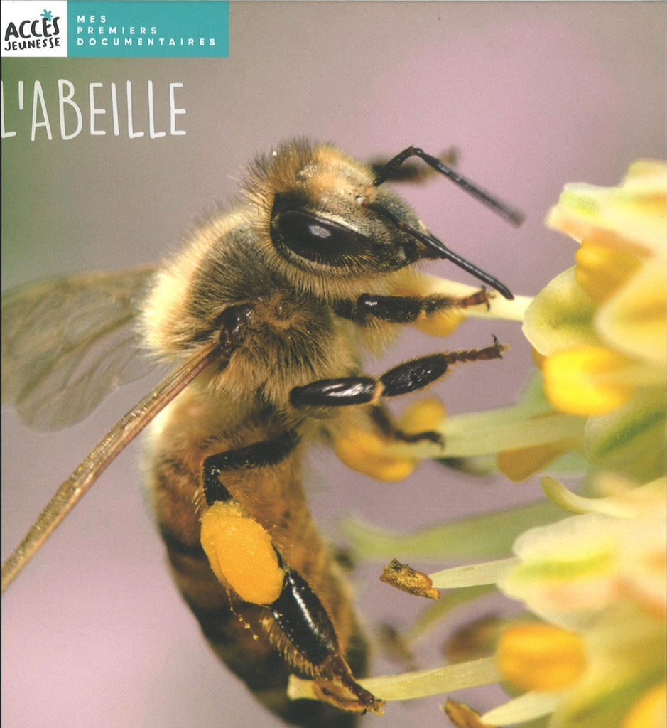 L'abeille,  mes premiers documentaires Edition Accès dès 4 ans