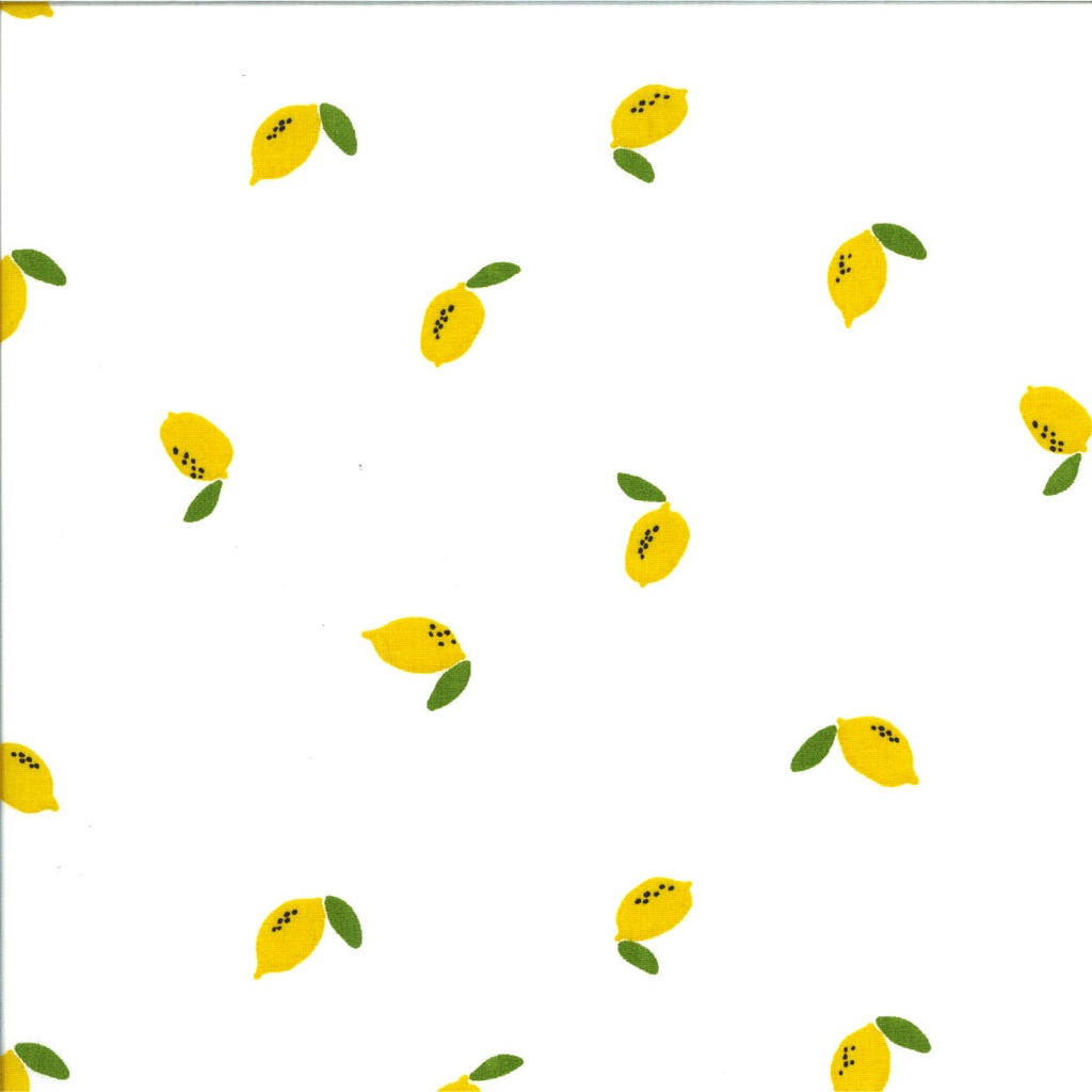 Popeline bedruckt Breite 145 cm 