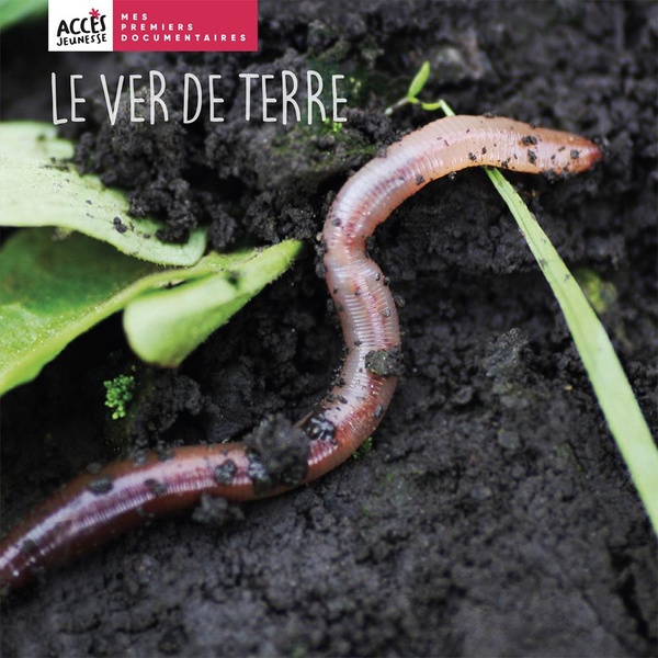 Le ver de terre, mes premiers documentaires Edition Accès dès 4 ans