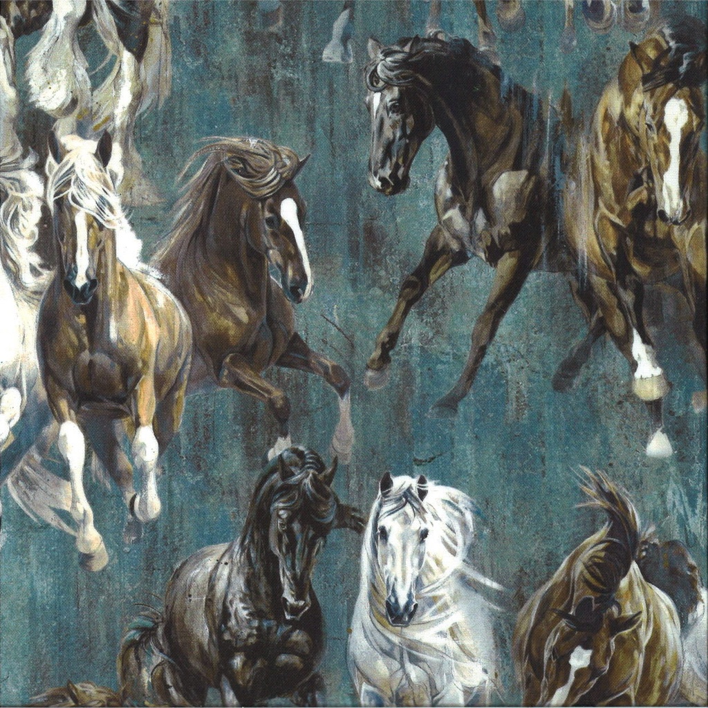 Coton imprimé largeur 115 cm