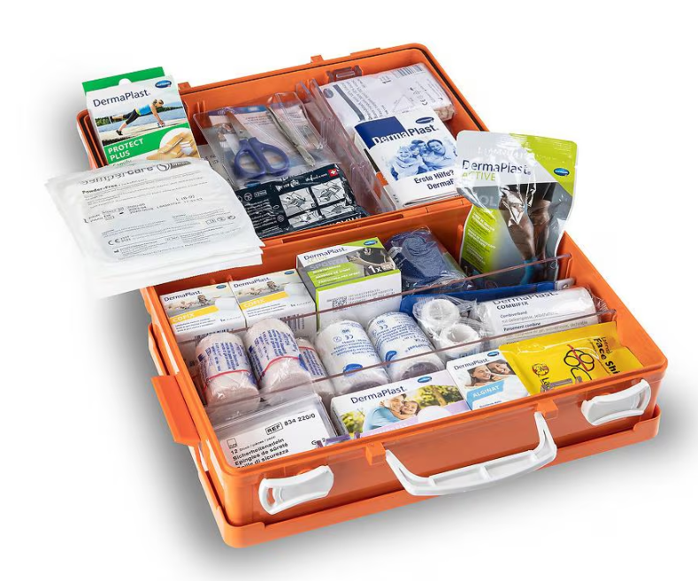 Erste-Hilfe-Set DermaPlast Verbandkoffer Vario 2