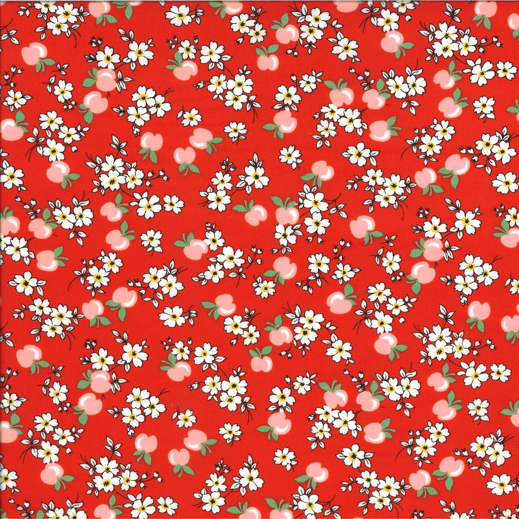 Coton imprimé largeur 115 cm  