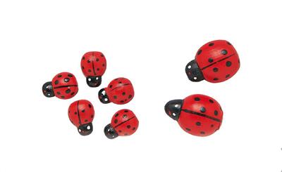Coccinelles en bois 110 mm 