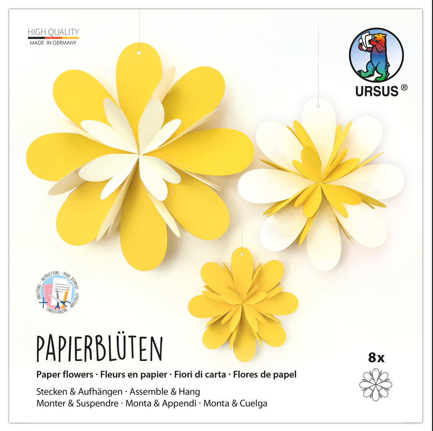 Papierblüten  aus Fotokarton gelb/weiss 300gm2 - 8 Stück 10-15-20 cm