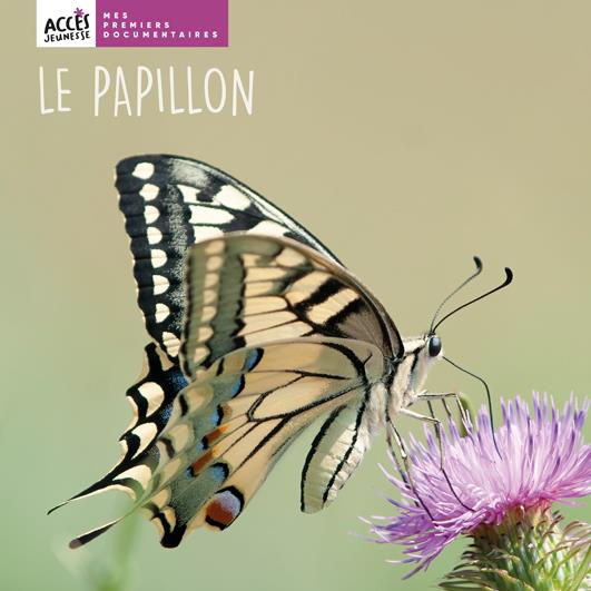 Le papillon, mes premiers documentaires Edition Accès dès 4 ans