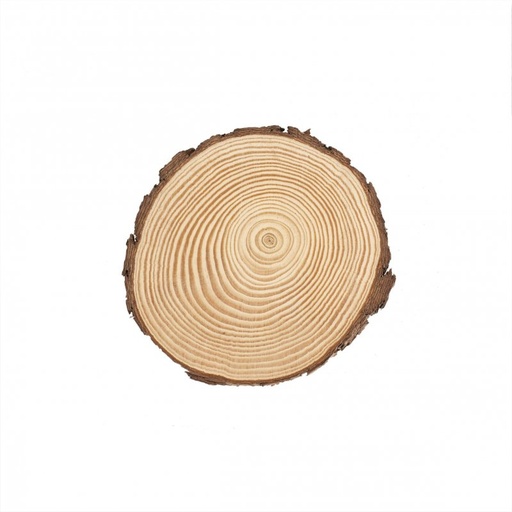 [81.144] Rondelle en bois 15 cm x 1.50 cm en pin