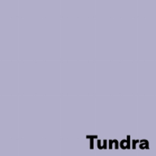 [CS274574] Papier photocopies A4 Image Coloraction Tundra / lavande 80 g/m2 500 feuilles