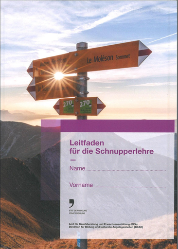 [40845] Leitfaden für die Schnupperlehre (2026)