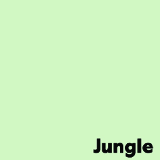 [CS294953] Papier photocopies A4 Image Coloraction Jungle/vert clair 80 g/m2 500 feuilles