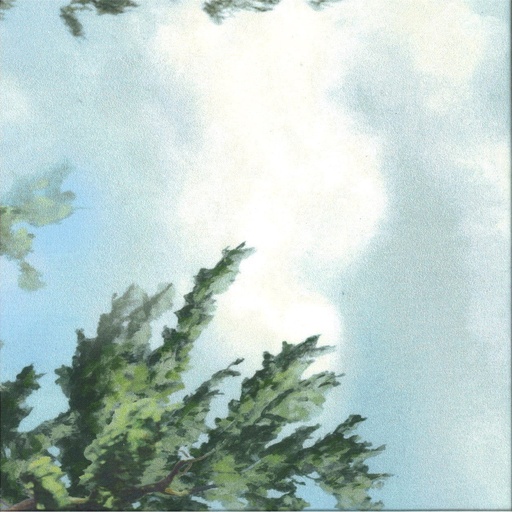 [71.405.541] Baumwolle bedruckt Breite 115 cm   