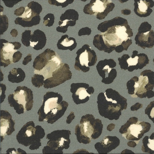 Coton imprimé largeur 140 cm Canvas  