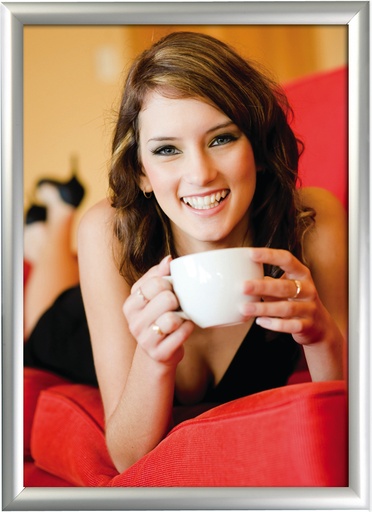 [DSA527210] Klapprahmen A4