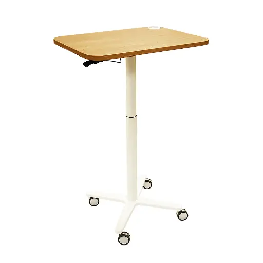 [DS57300] Arbeitsstation X-Per Mobile