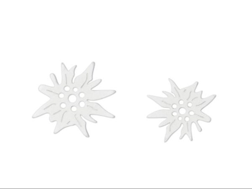 [81.165.011] Edelweiss en bois 2.5-3 cm     