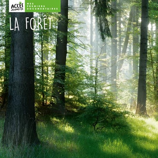 [11393] La forêt, mes premiers documentaires Edition Accès dès 4 ans
